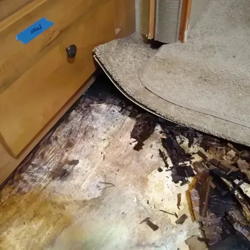 Best Wood Floor Water Damage Service in Hollister, MO